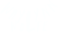 waylynn wolfe logo