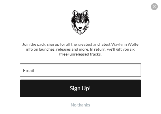waylynn wolfe newsletter signup